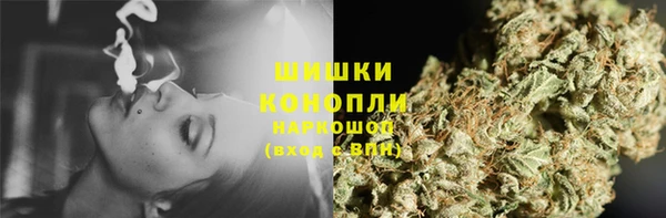 индика Навашино