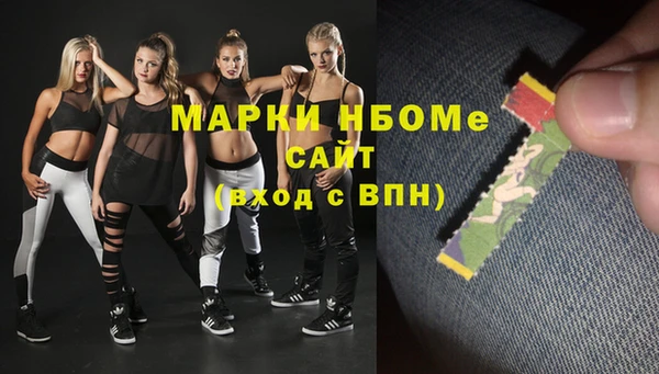 хмурый Надым