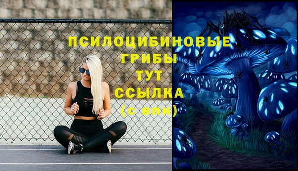 индика Навашино