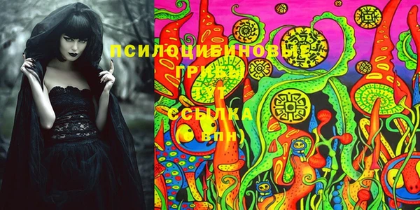 хмурый Надым