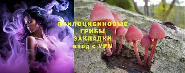 индика Навашино