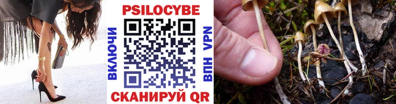 Купить Нижневартовск Псилоцибиновые грибы GOLDEN TEACHER